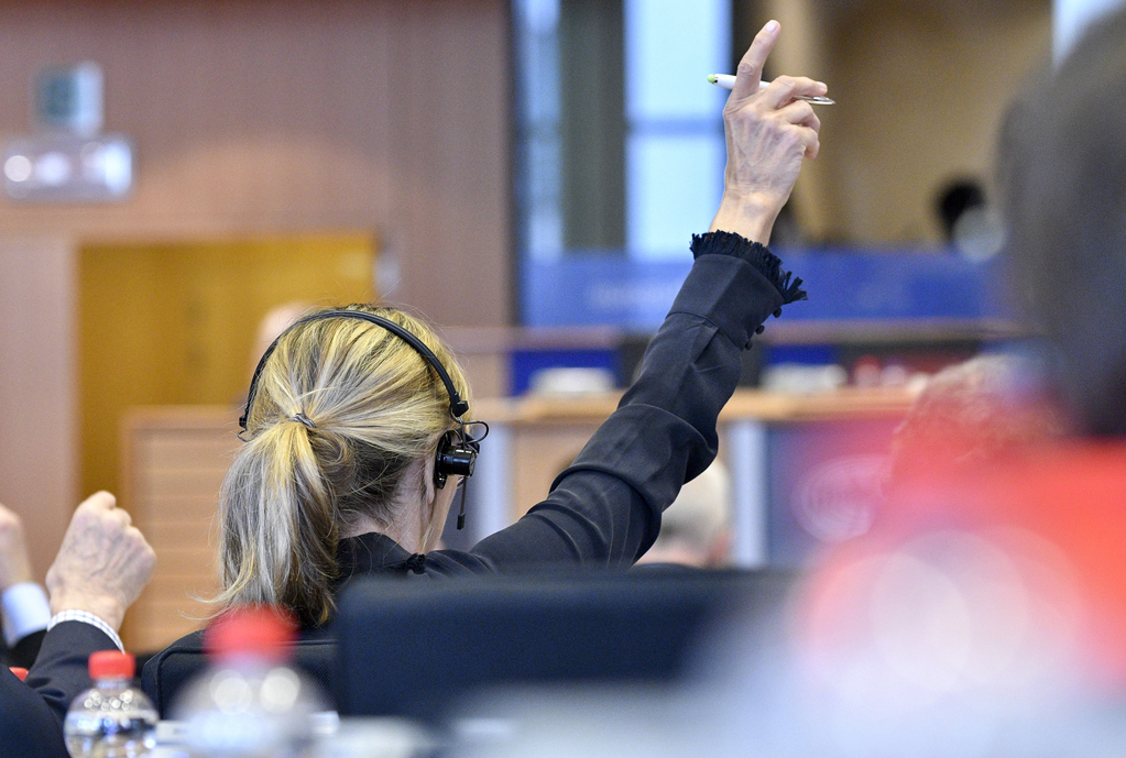 FEMM - Committee on Women's Rights and Gender Equality